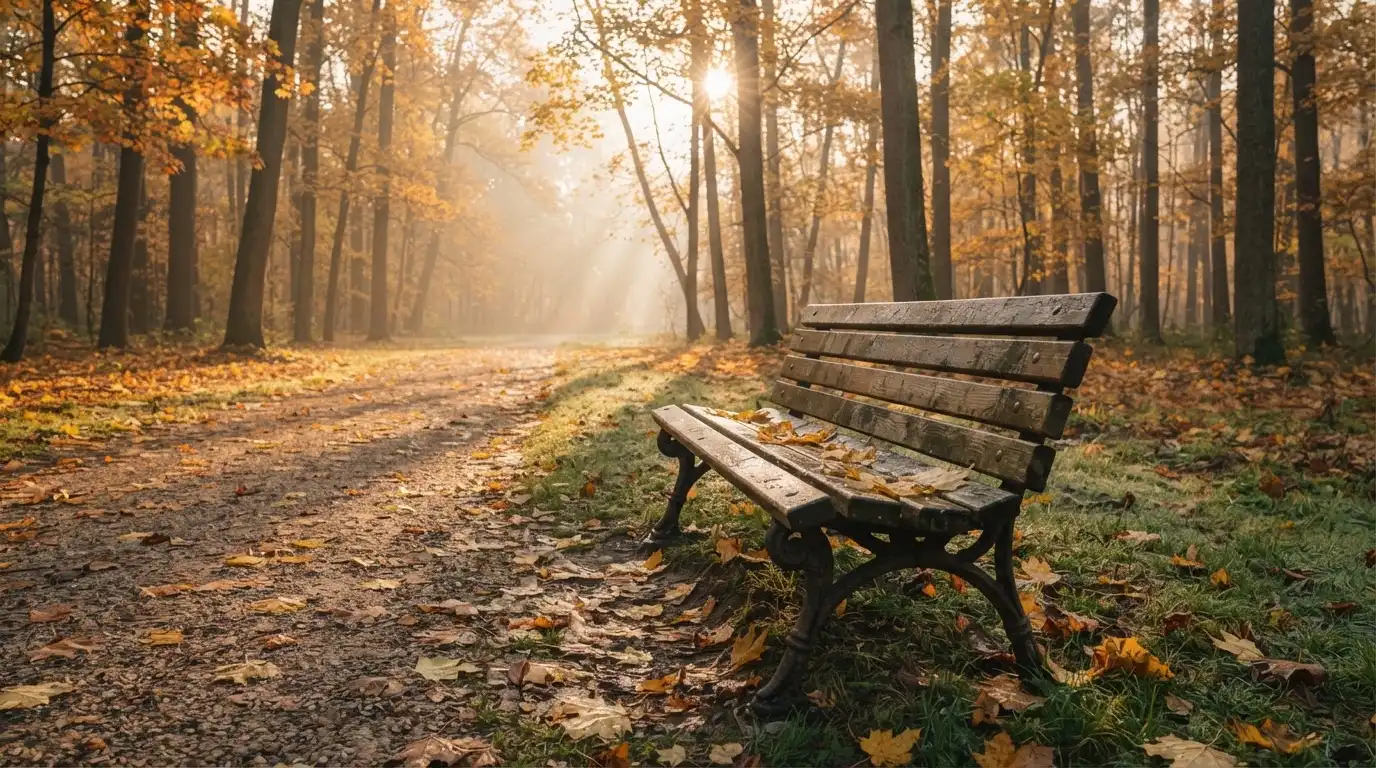 En tom parkbänk en höstmorgon, gula lönnlöv på stigen och låg sol mellan träden — svenska nätcasinon